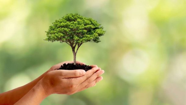 sustainable agriculture