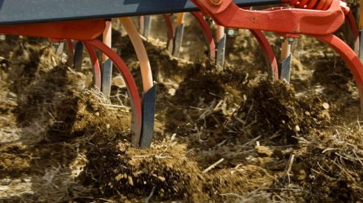 No-till farming
