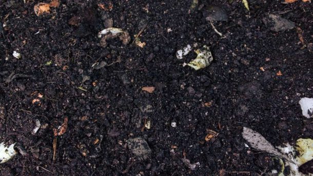 soil organic