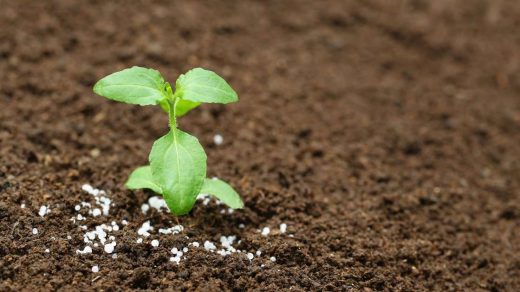 chemical fertilizers