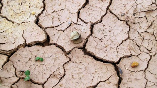soil electrical
