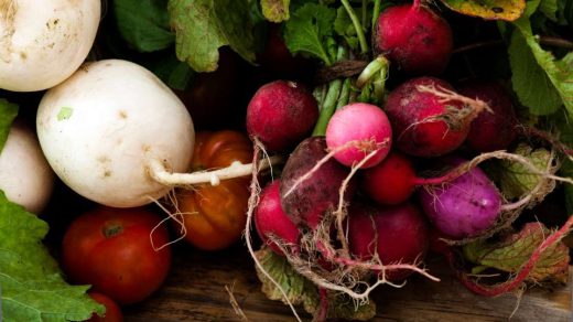 organic food