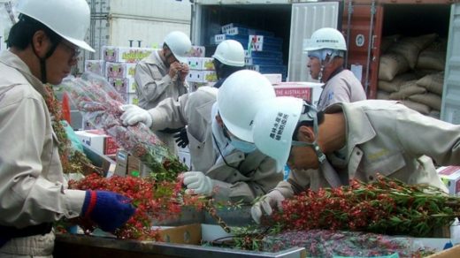 plant quarantine