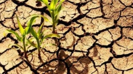 Dry land farming