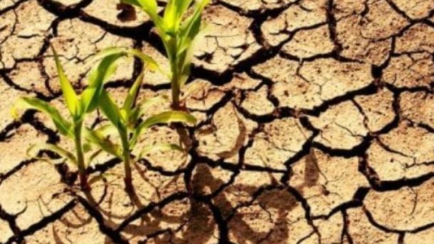 Dry land farming