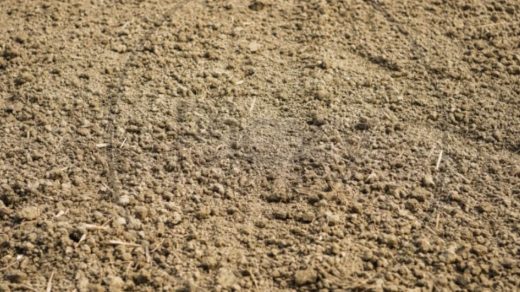 soil texture
