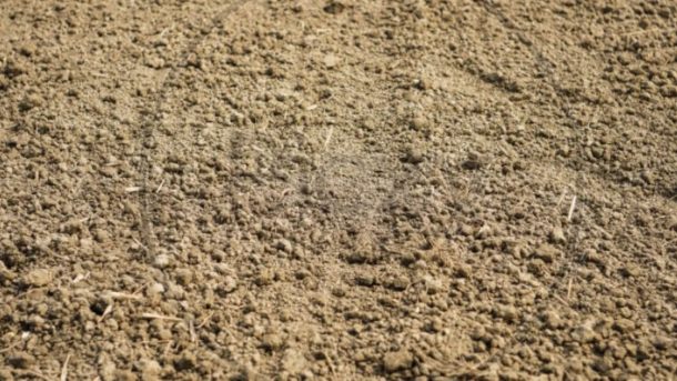 soil texture