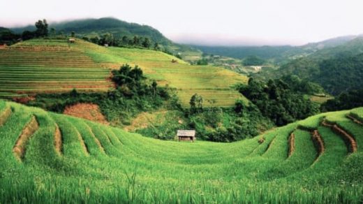 soil management