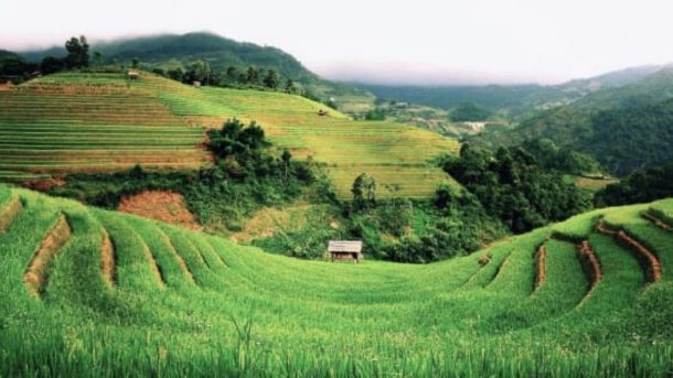soil management