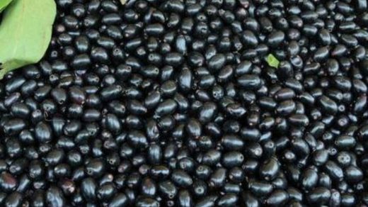 Jamun