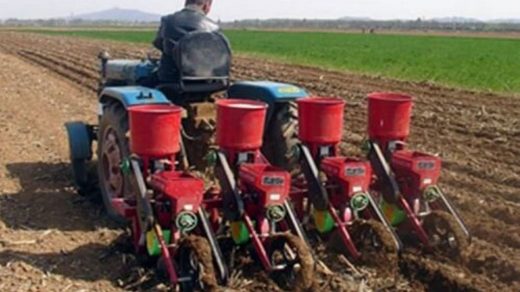 sowing