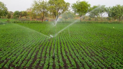 irrigation