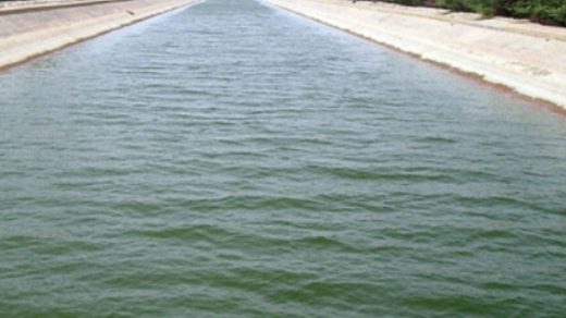 irrigation