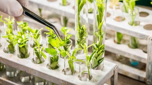 biotechnology