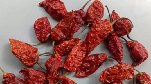 chilli