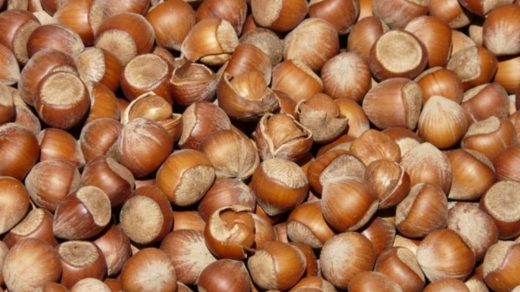 Hazelnuts