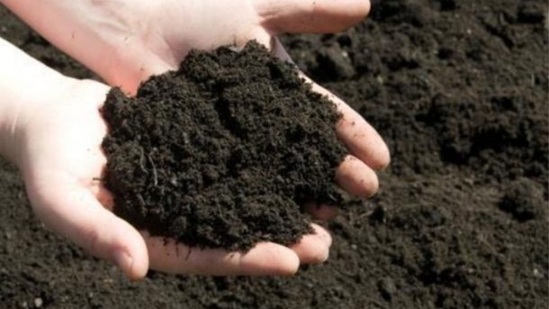 manure