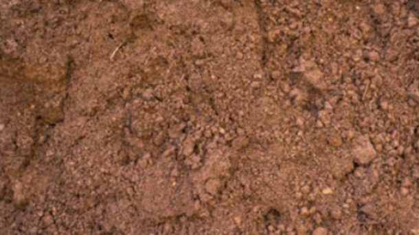 soil