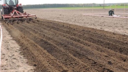 soil