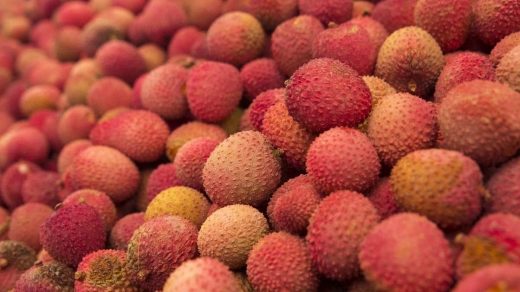 litchi