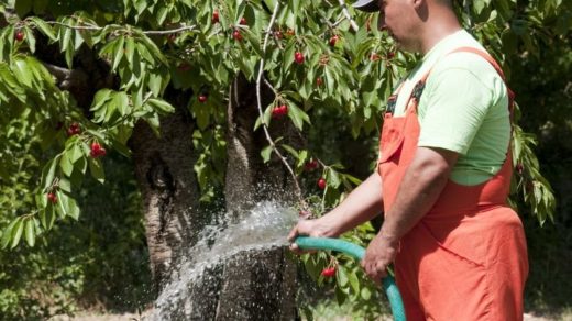 Irrigation