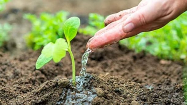 Irrigation