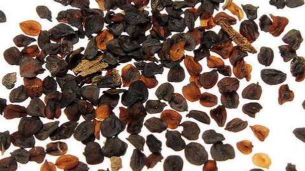 Seed Rate