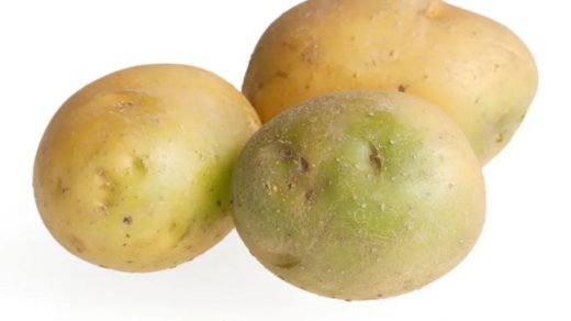 Green potatoes