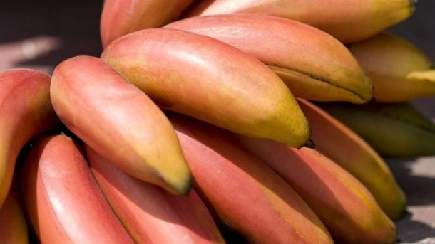 Red Banana