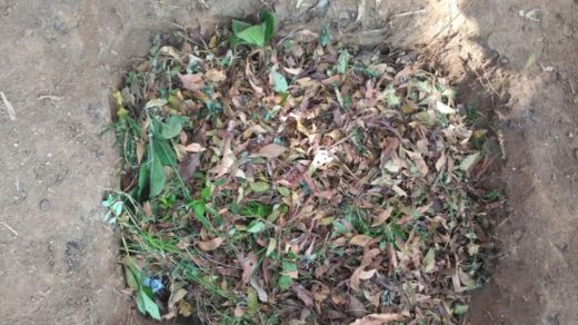 composting