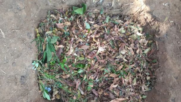 composting