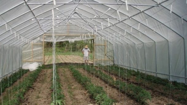 Shade house