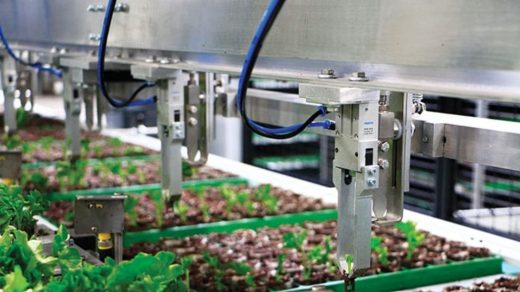 Transplanting