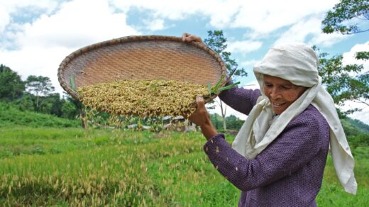 agro-ecological farming