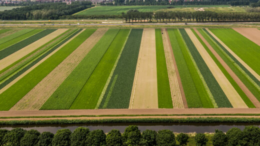 Strip Cropping System