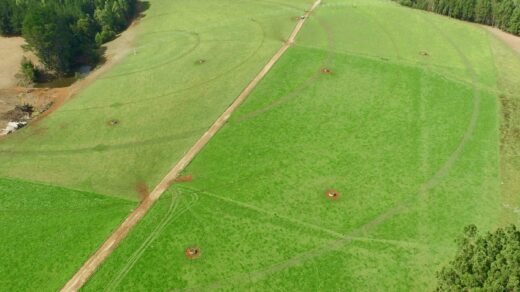 Rotational Grazing