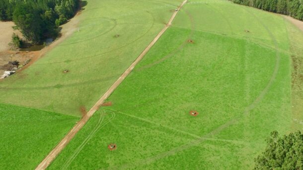 Rotational Grazing