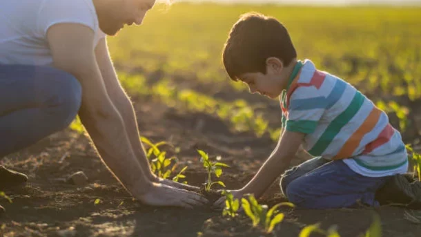 biodegradable mulch