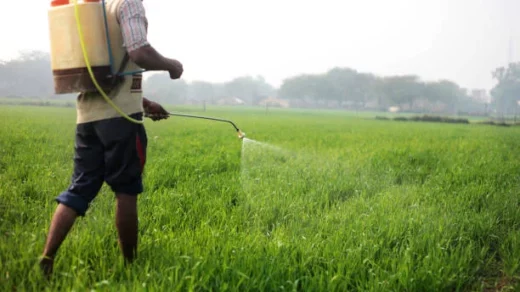 spraying