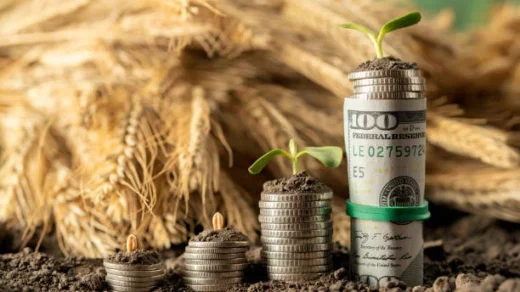 Interest Subvention Scheme