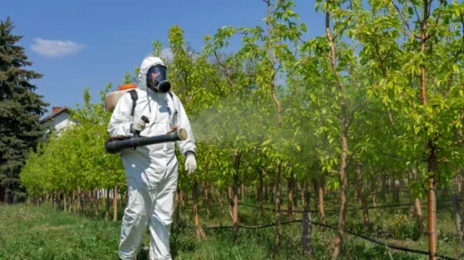 biological pest control