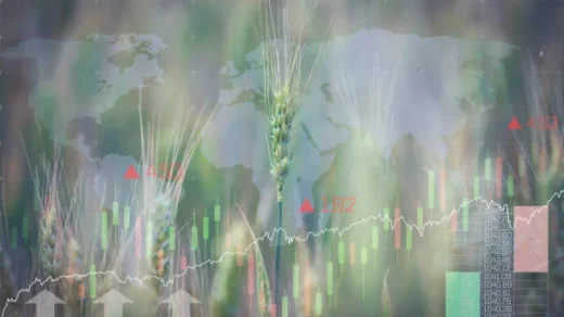 agricultural commodity