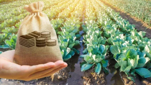 agricultural subsidies