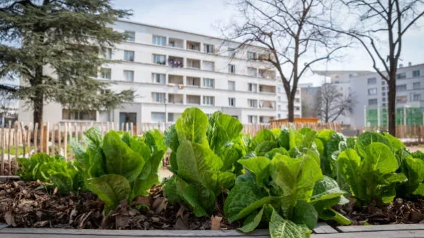 controlled environment agriculture
