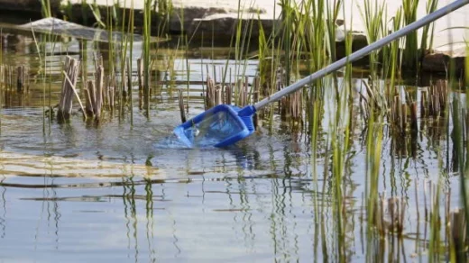 water pollution