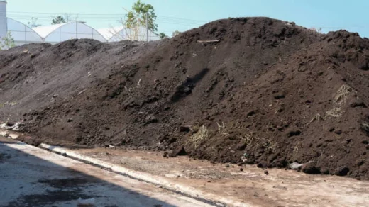 biofertilizers produced