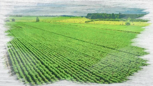 climate-smart agriculture