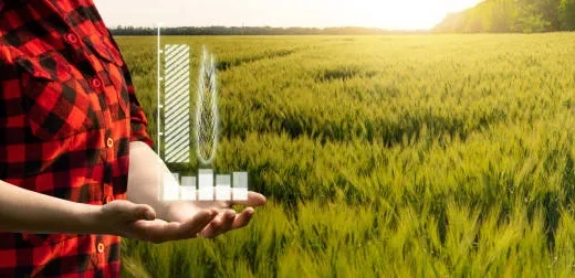 transitioning to organic farming