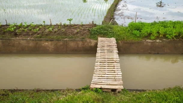 water management