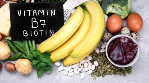plant-based proteins